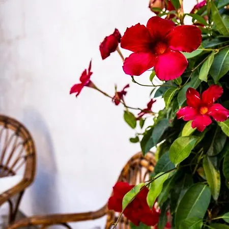 Dose Di Relax ベッド・アンド・ブレックファスト